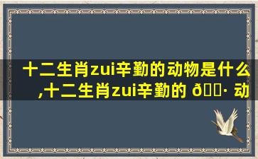 十二生肖zui
辛勤的动物是什么,十二生肖zui
辛勤的 🌷 动物是什么动物